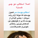 سرم اسکالپی سیپوری تقویت کننده و ضد ریزش مو اورجينال كره